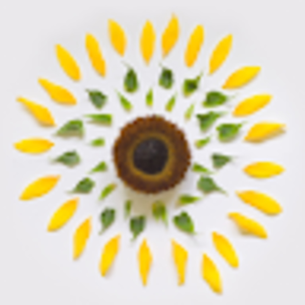 Meet your Posher, Lexie